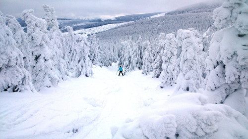 krkonose, jeleni bouda, snezka