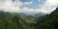 Pohled z Los balcoes, Madeira